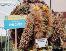 Wieniec wsi Wilchta